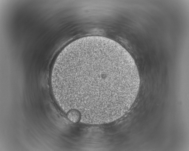 X0000073860146200608312035