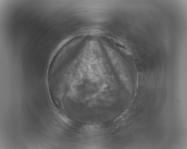 X0000073860147200608312035