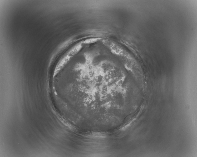 X0000073860149200608312035