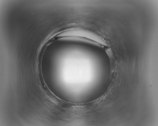 X0000073860150200608312035