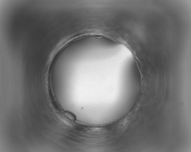 X0000073860151200608312035