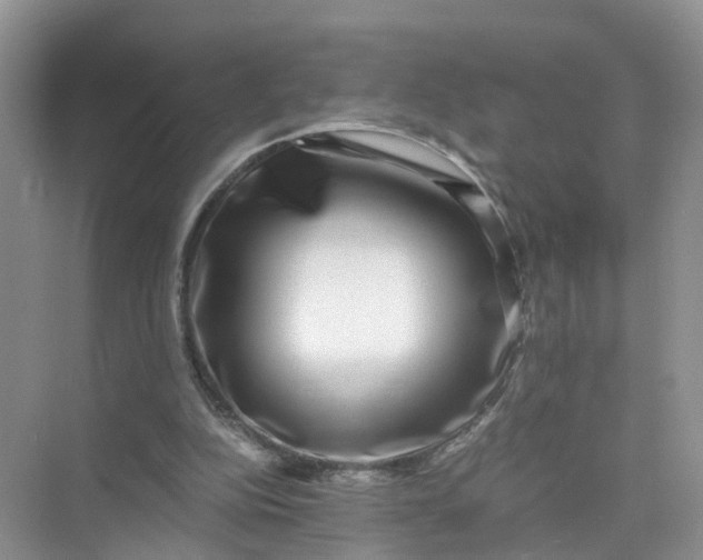 X0000073860152200608312035