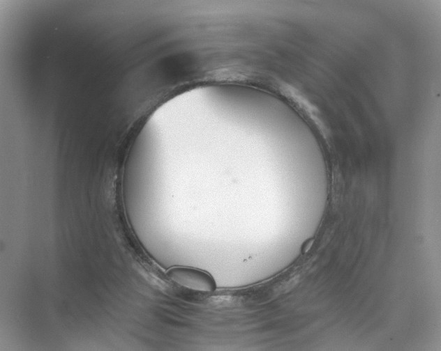 X0000073860153200608312036