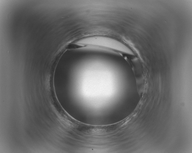 X0000073860154200608312036