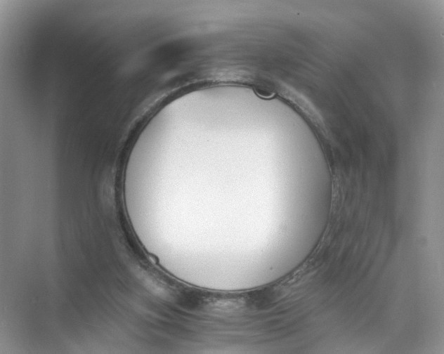 X0000073860155200608312036