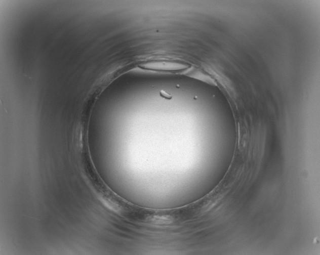 X0000073860157200608312036