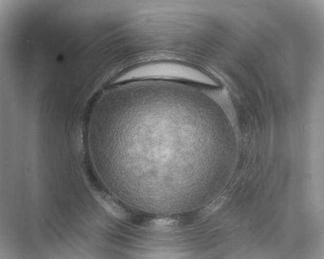 X0000073860158200608312036