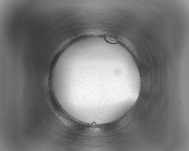 X0000073860159200608312036