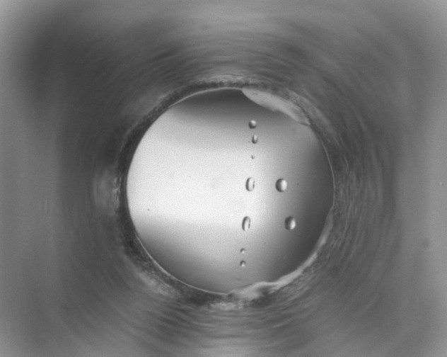 X0000073860160200608312036