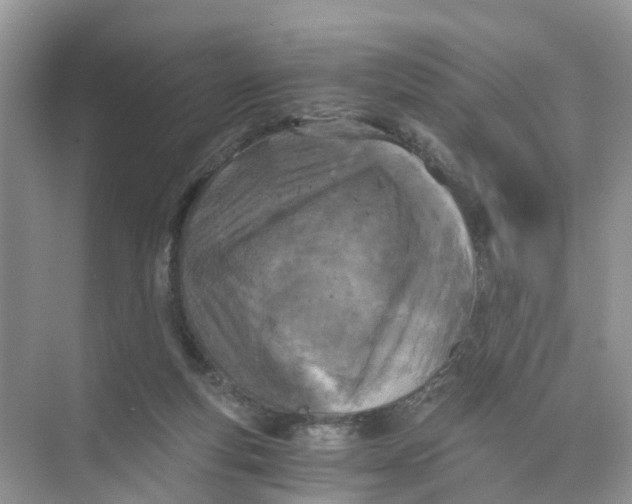 X0000073860163200608312036