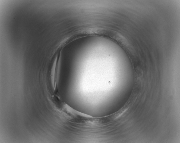 X0000073860164200608312036