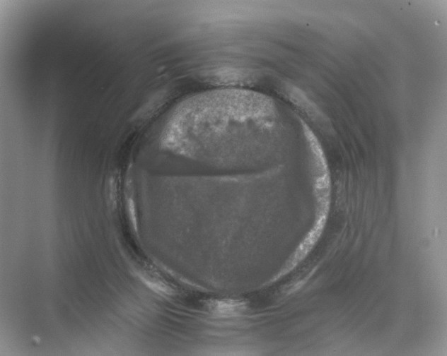 X0000073860165200608312036