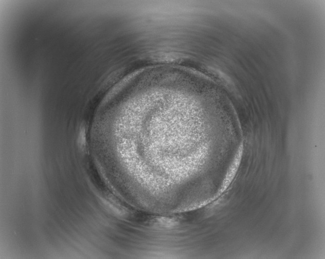 X0000073860166200608312036