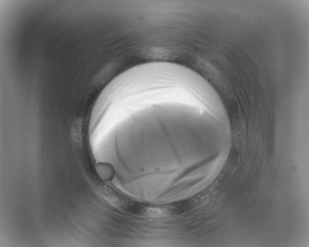 X0000073860167200608312036