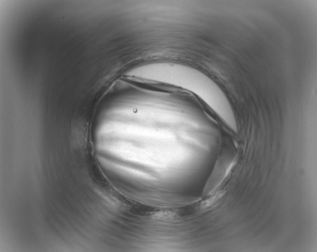 X0000073860168200608312036