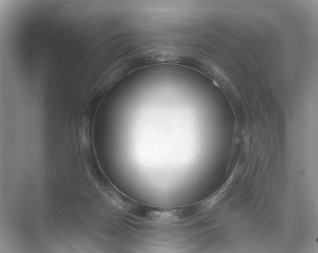 X0000073860170200608312036