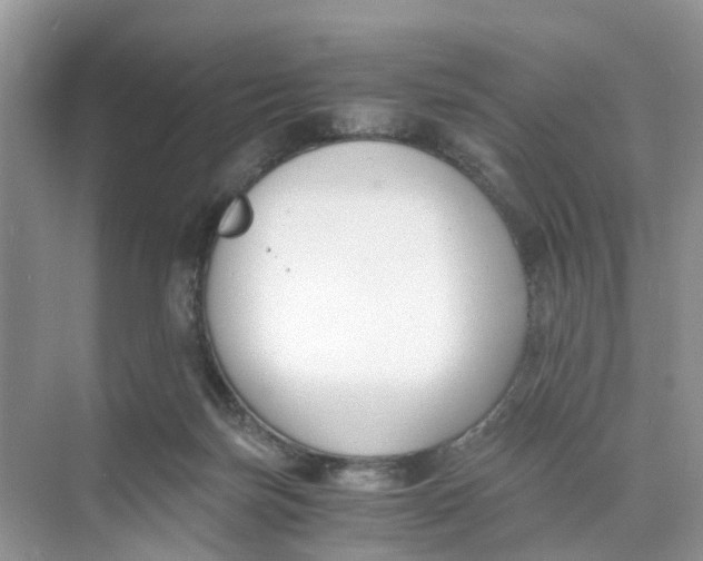 X0000073860171200608312036