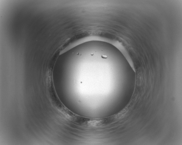 X0000073860172200608312036