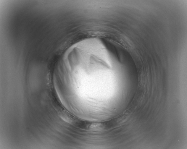 X0000073860173200608312036