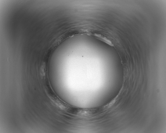 X0000073860174200608312036