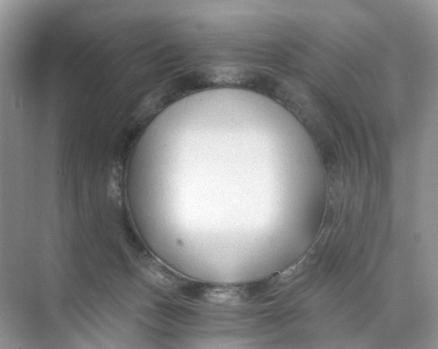 X0000073860175200608312036