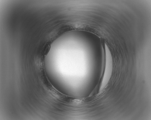 X0000073860176200608312036