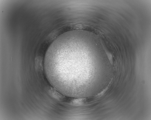 X0000073860178200608312036