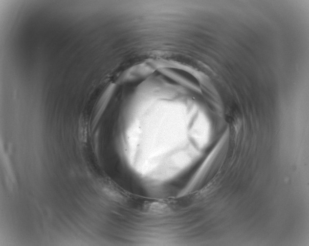 X0000073860180200608312036