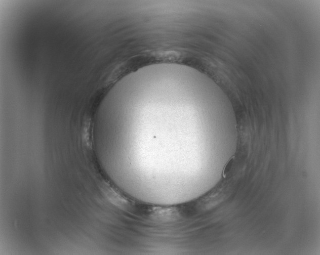 X0000073860185200608312036