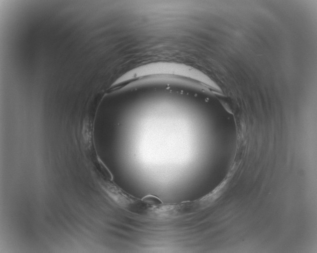 X0000073860186200608312036