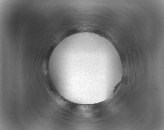 X0000073860187200608312036