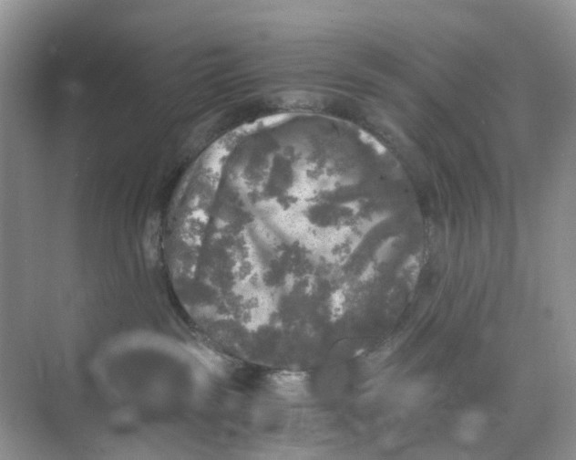 X0000073860189200608312036