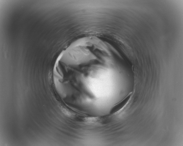 X0000073860192200608312036