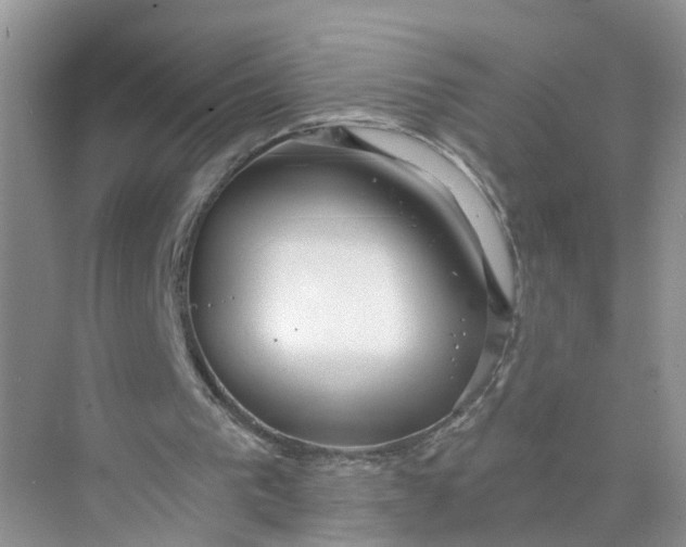 X0000073860193200608312035