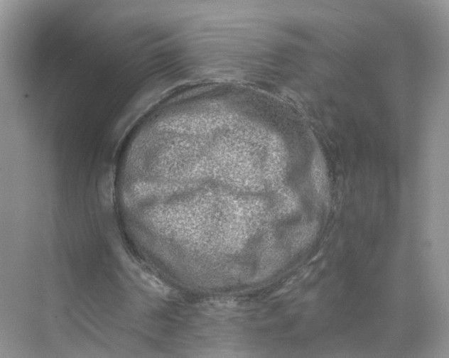 X0000073860194200608312035