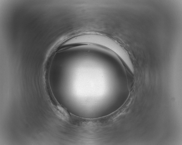 X0000073860197200608312035