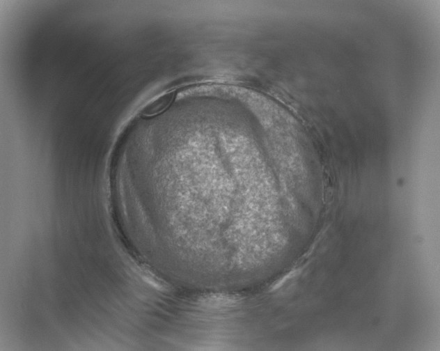 X0000073860198200608312035