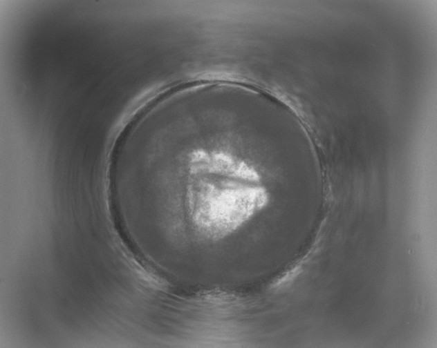 X0000073860199200608312035