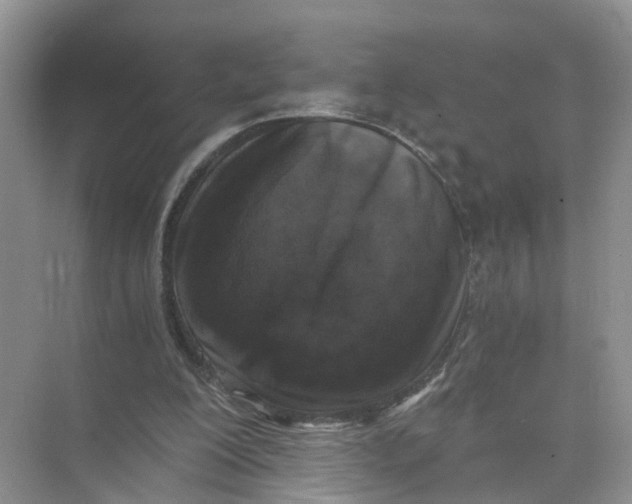 X0000073860200200608312035