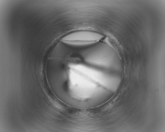 X0000073860201200608312035