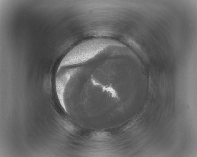 X0000073860202200608312035