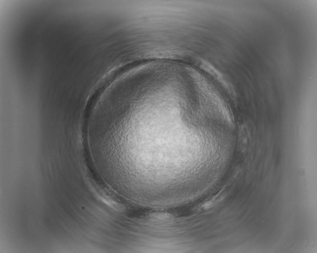 X0000073860203200608312035