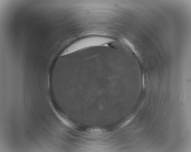 X0000073860205200608312035