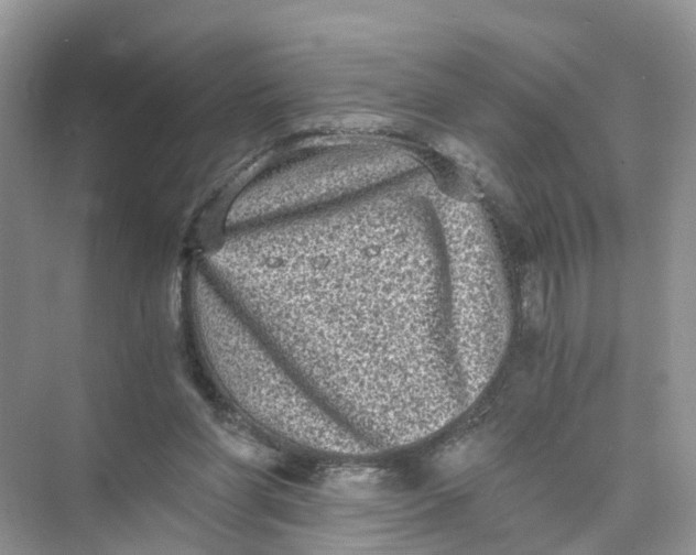 X0000073860206200608312035