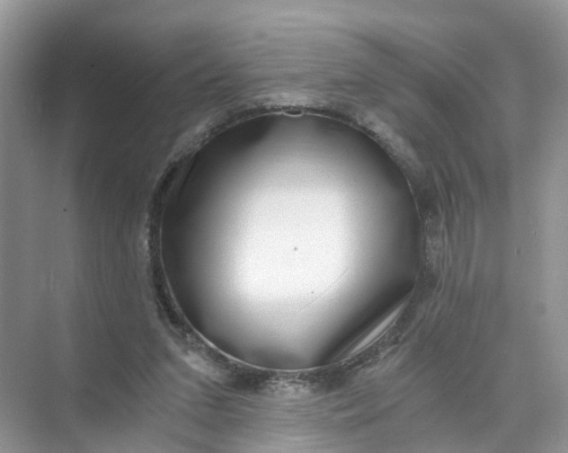 X0000073860207200608312035