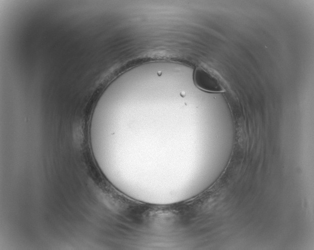 X0000073860208200608312035