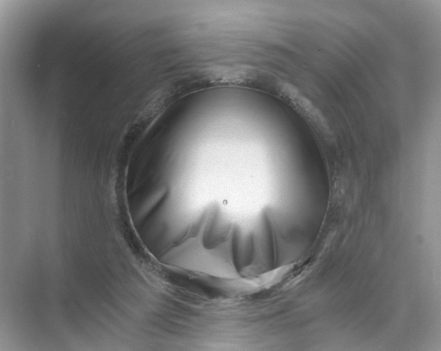 X0000073860209200608312035