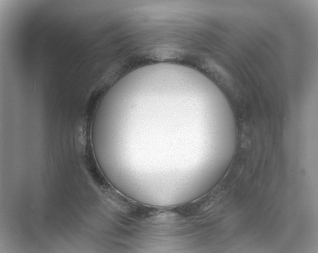 X0000073860210200608312035