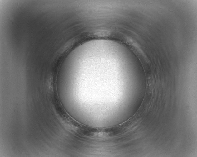 X0000073860212200608312035