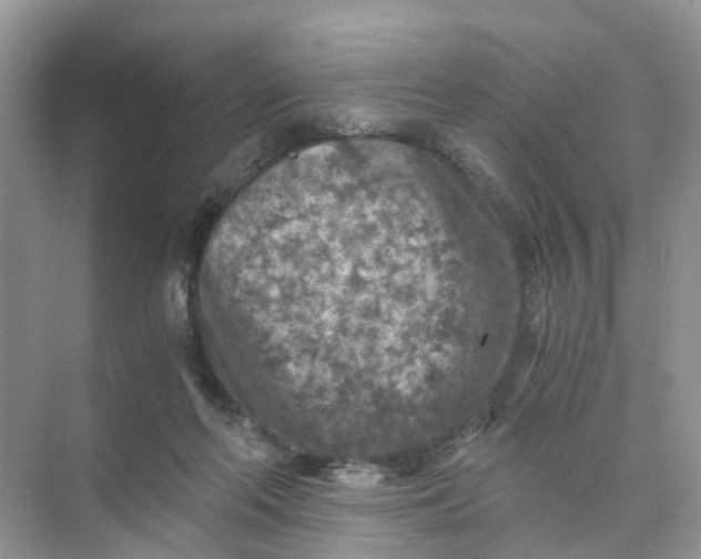 X0000073860214200608312035